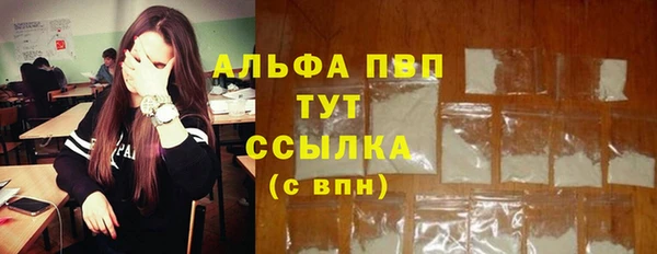 прущие крисы Баксан