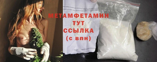 прущие грибы Верхний Тагил