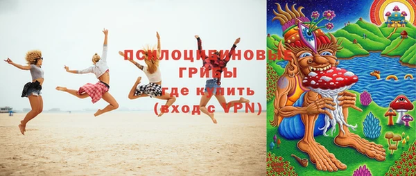 спайс Арсеньев