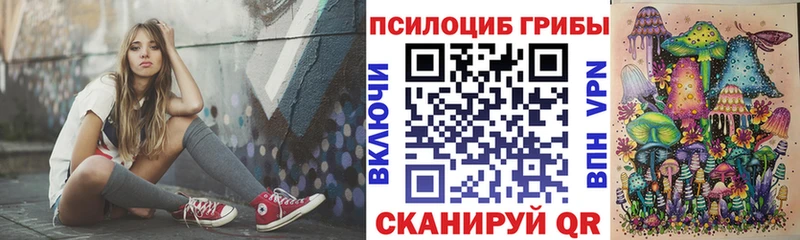 Псилоцибиновые грибы Psilocybine cubensis  где продают   Опочка 